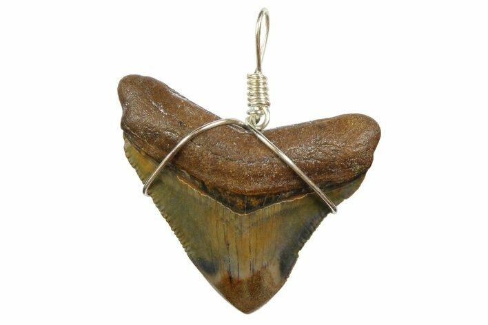 Fossil Megalodon Tooth Necklace #173861